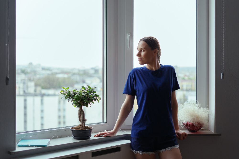 Plattsburgh Window Styles